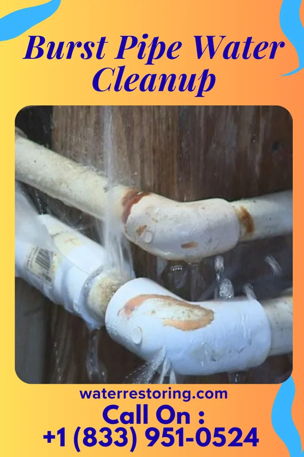 Burst Pipe Water Cleanup in Vaughn, NM