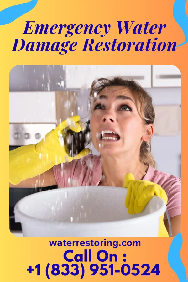 Emergency Water Damage Restoration in Vaughn, NM
