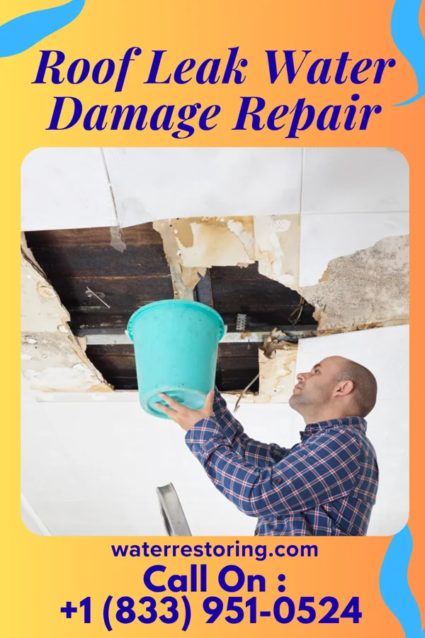 Roof Leak Water Damage Repair in Vaughn, NM