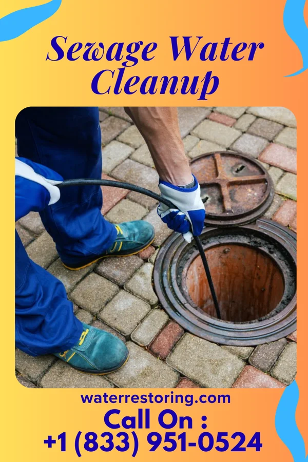 Sewage Water Cleanup in Vaughn, NM