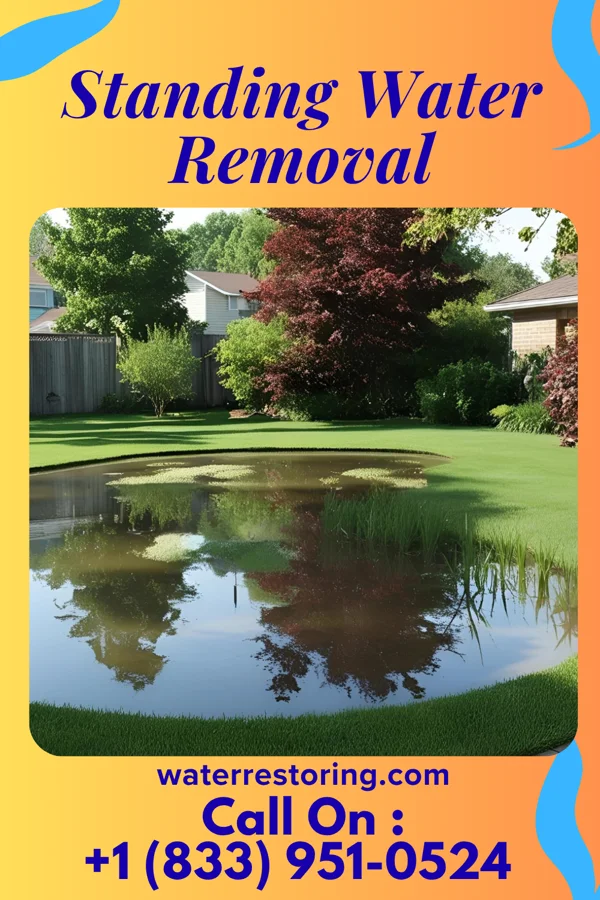 Standing Water Removal in Vaughn, NM